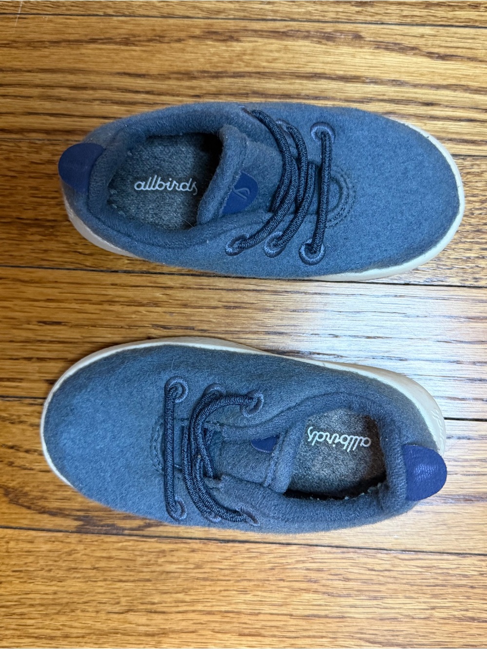 Smallbirds" Wool Runners by Allbirds, size: toddler 7, blue